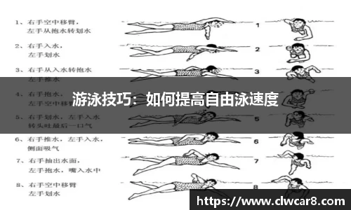 游泳技巧：如何提高自由泳速度